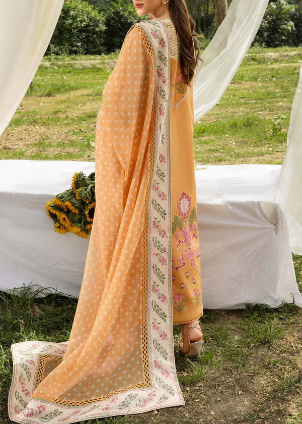 SAIRA SHAKIRA BLOOM '26 - 02 A