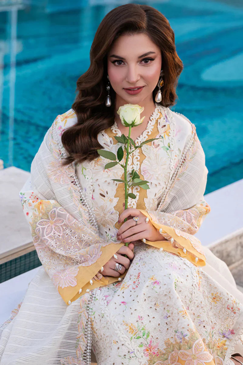 RANG RASIYA CARNATION '26 - LILY