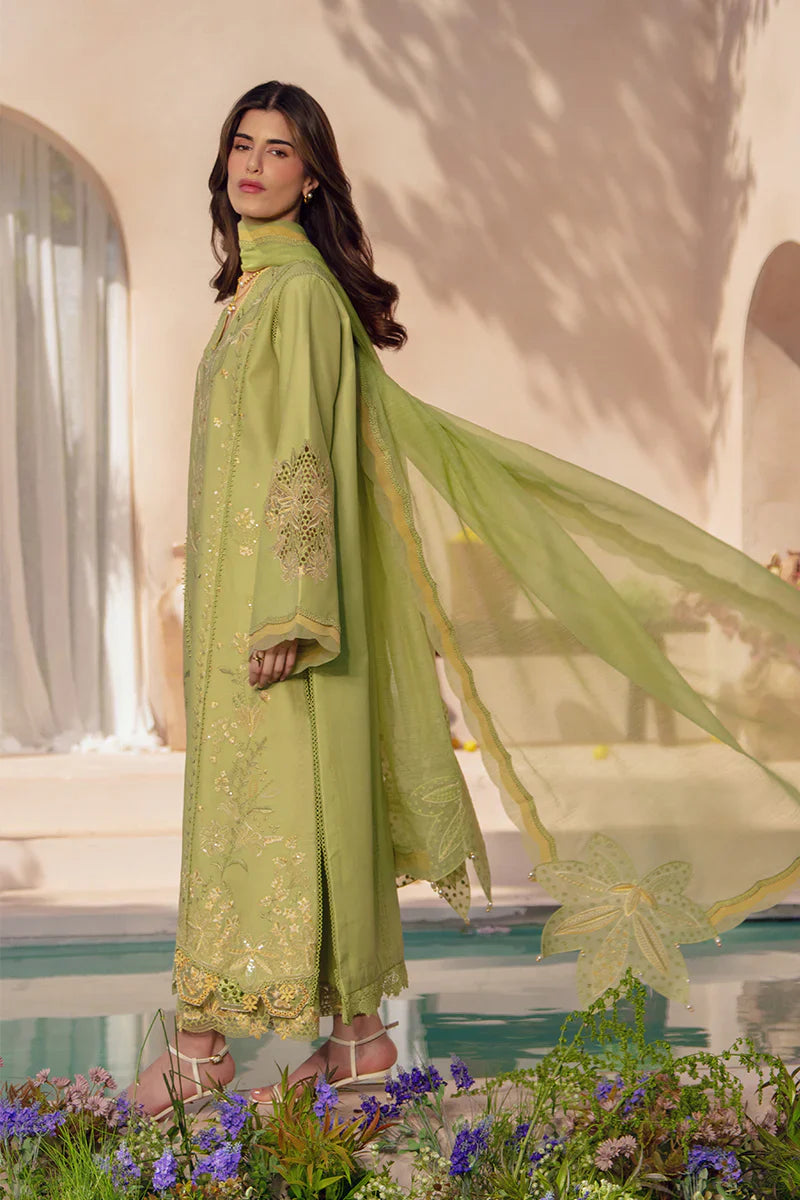 RANG RASIYA LUXURY '26 - NADINE