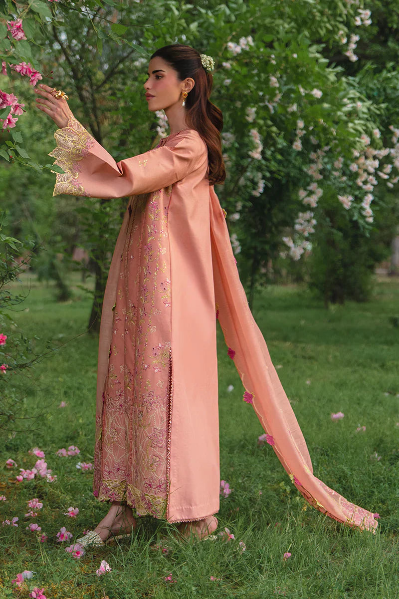 RANG RASIYA LUXURY '26 - RANIA