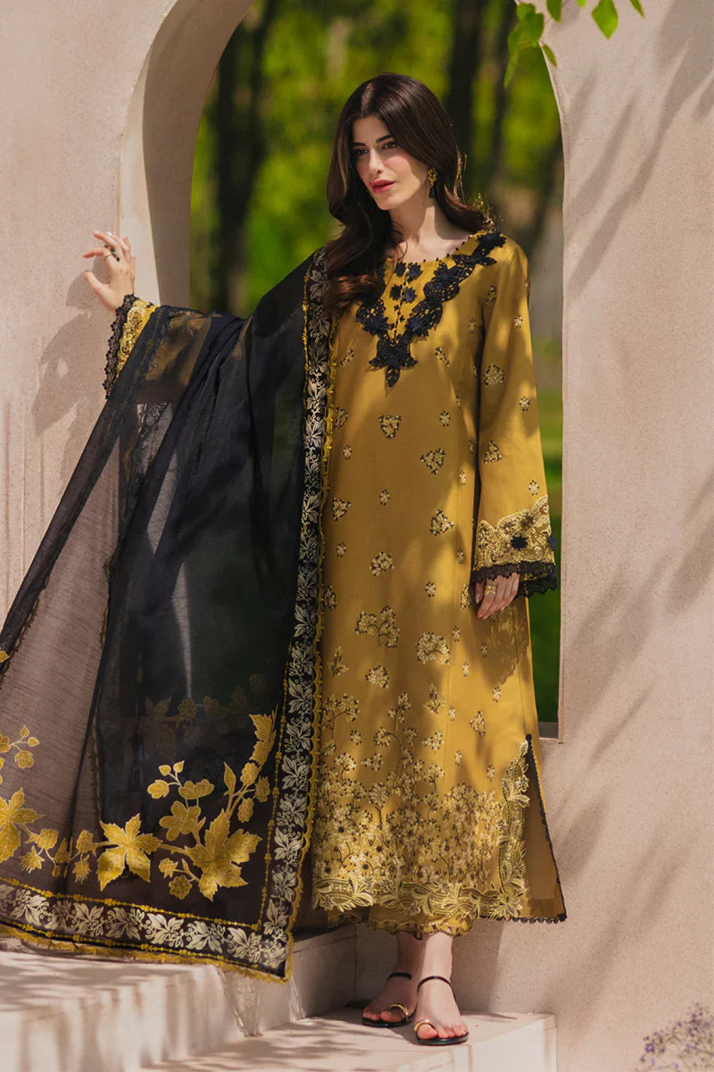 RANG RASIYA LUXURY '26 - MAHI
