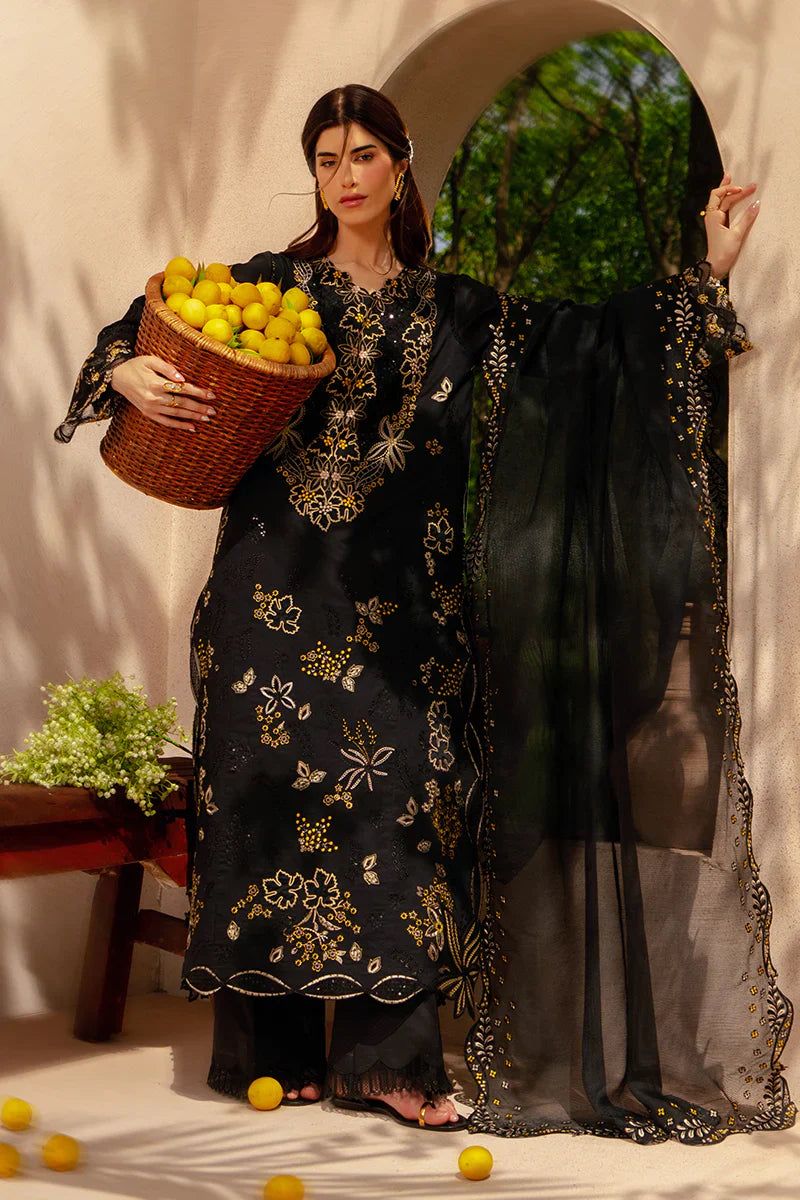 RANG RASIYA LUXURY '26 - LAYL