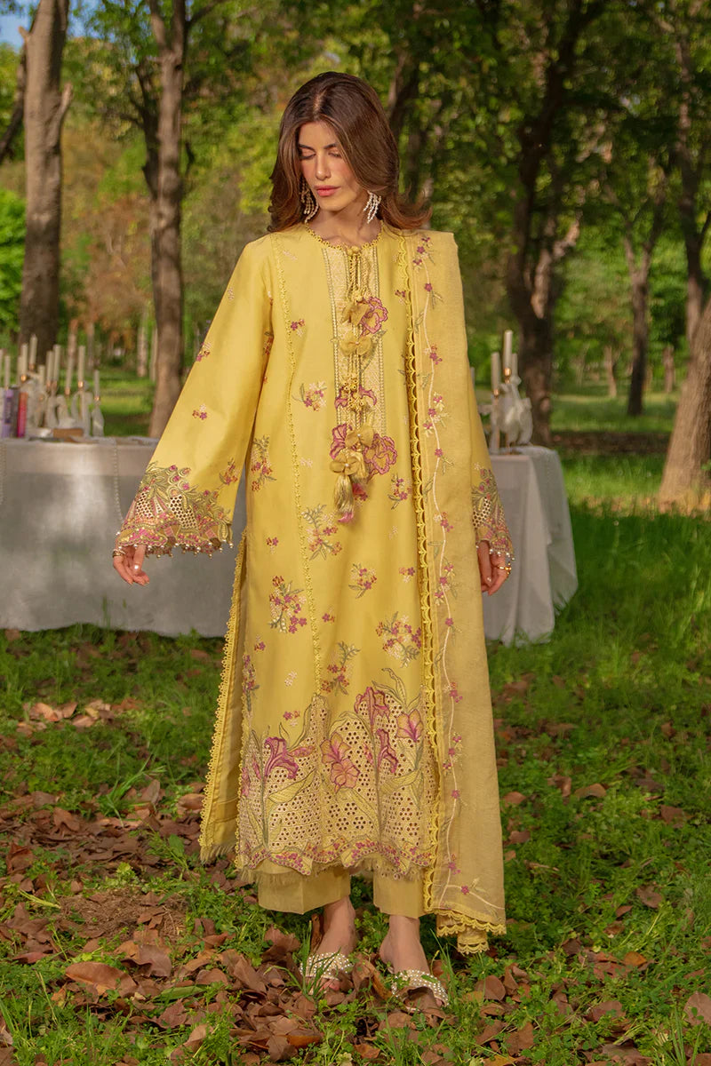 RANG RASIYA LUXURY '26 - MYSHA