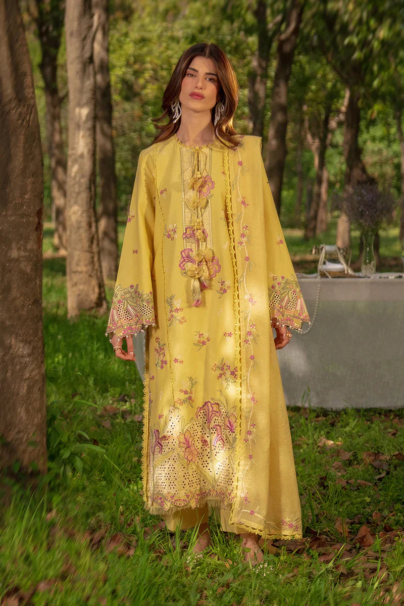 RANG RASIYA LUXURY '26 - MYSHA