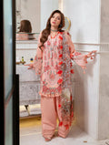 JADE OMBRE '26 - T PINK