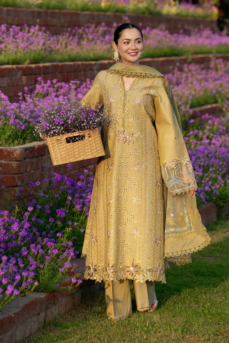RANG RASIYA LUXURY '26 - RAHA