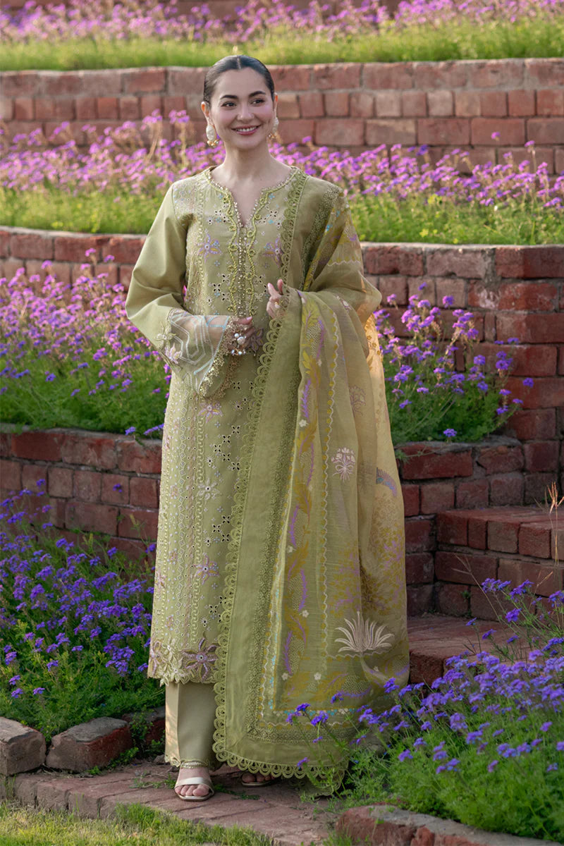 RANG RASIYA LUXURY '26 - RAHA