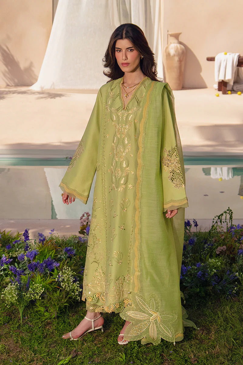 RANG RASIYA LUXURY '26 - NADINE