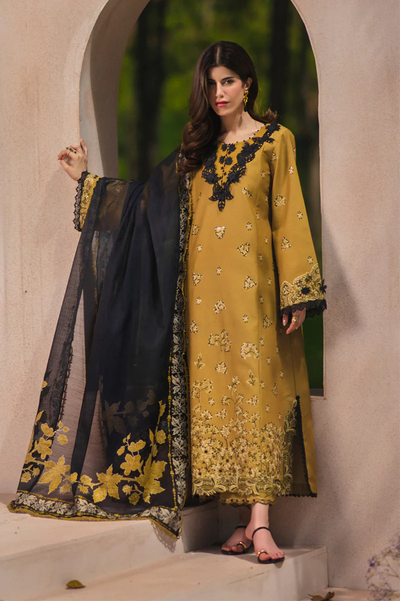 RANG RASIYA LUXURY '26 - MAHI