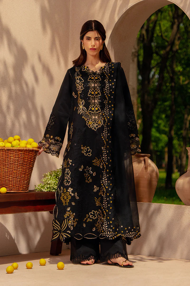RANG RASIYA LUXURY '26 - LAYL